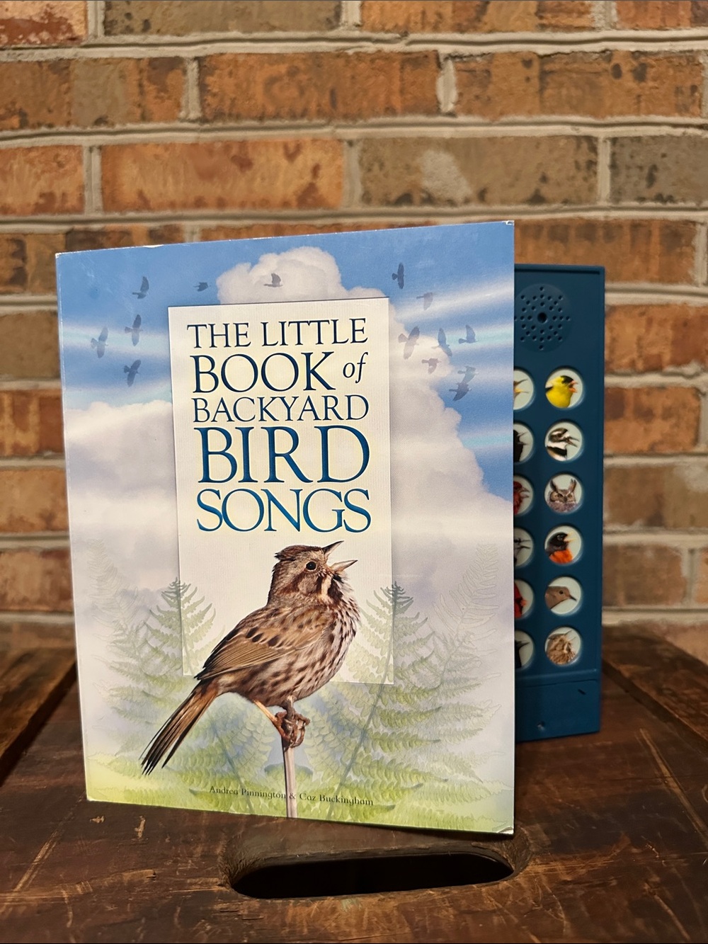 The Little Book of Backyard Bird Songs by Andrea Pinnington